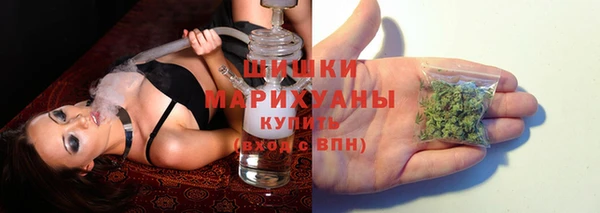 эйфоретик Иннополис