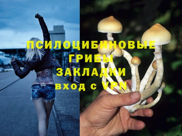 эйфоретик Иннополис