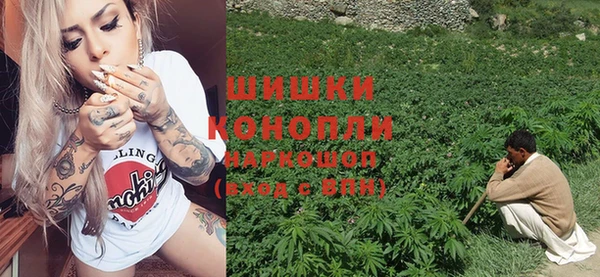 Альфа ПВП Инта