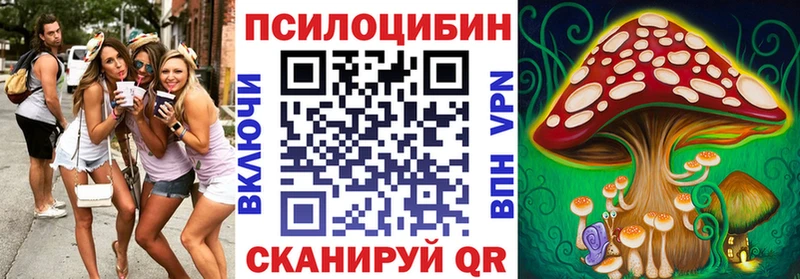 Купить где  Комсомольск  Галлюциногенные грибы GOLDEN TEACHER 